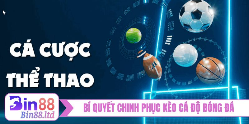 Bí quyết chinh phục kèo cá độ bóng đá