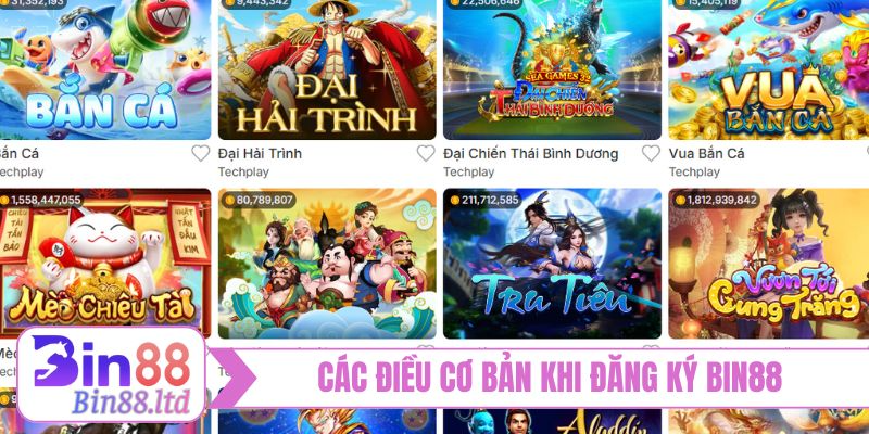 Các điều cơ bản khi đăng ký BIN88