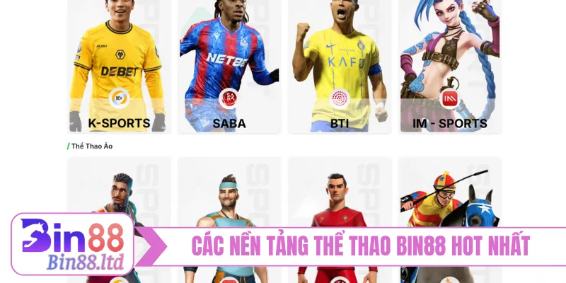 Các nền tảng thể thao BIN88 hot không thể bỏ qua