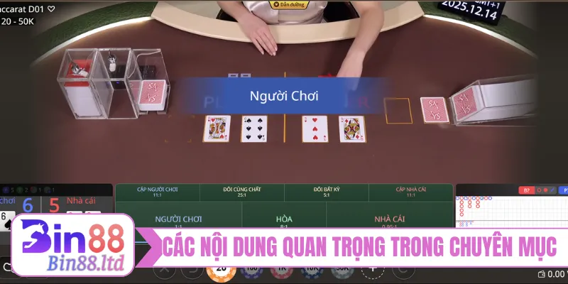 Các nội dung quan trọng trong mục kinh nghiệm BIN88