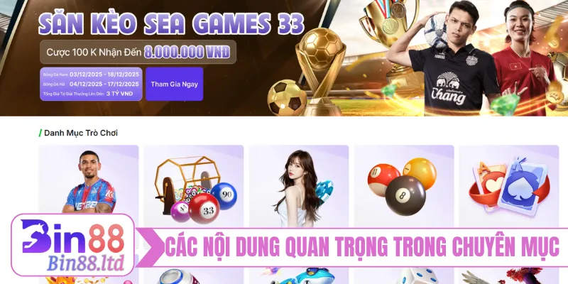 Các nội dung quan trọng trong mục hướng dẫn BIN88