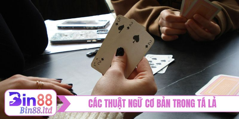 Các thuật ngữ cơ bản trong tá lả