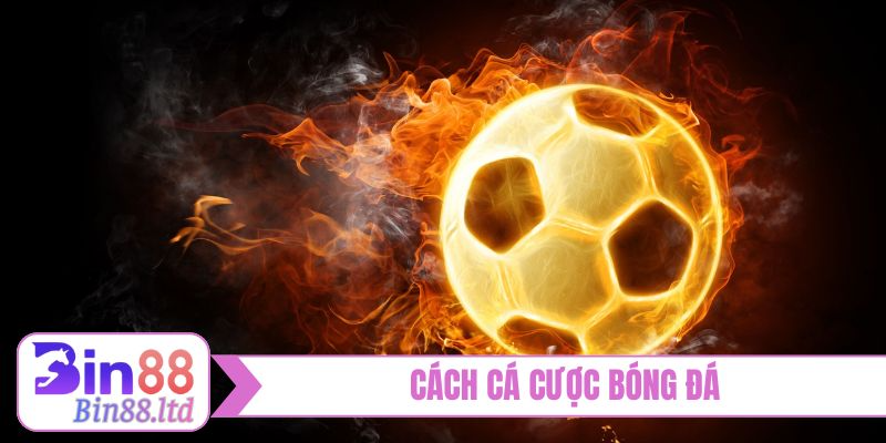 cach ca cuoc bong da bia