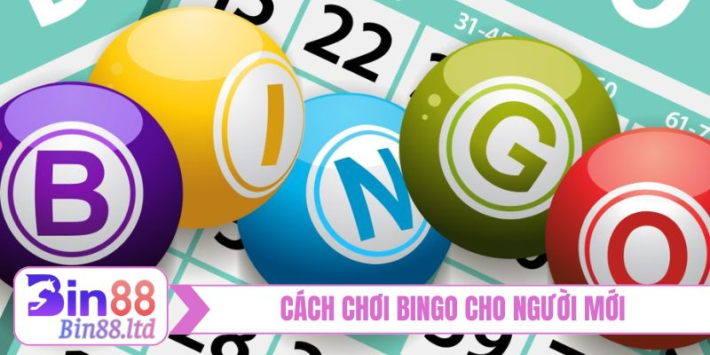 Cách chơi Bingo trực tuyến cho người mới