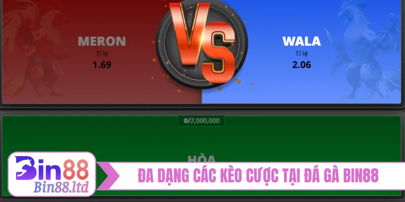 Đa dạng các kèo cược tại đá gà BIN88