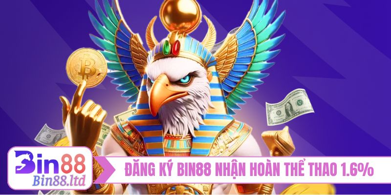 Đăng ký BIN88 nhận hoàn thể thao 1.6%
