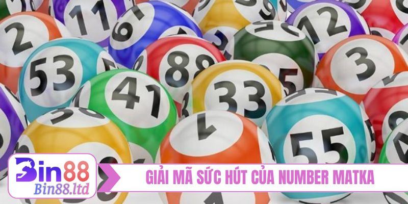 Giải mã sức hút của cách chơi Number Matka