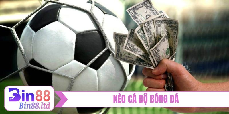 keo ca do bong da bia