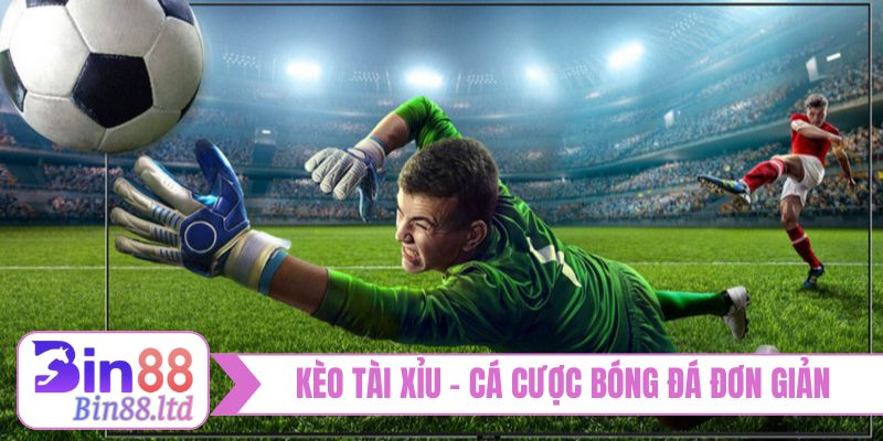 Kèo tài xỉu - Cách cá cược bóng đá đơn giản
