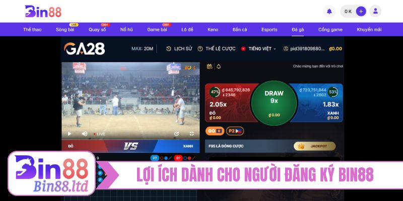 Lợi ích dành cho người đăng ký BIN88