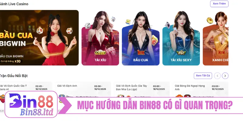 Chuyên mục hướng dẫn BIN88 có gì quan trọng?