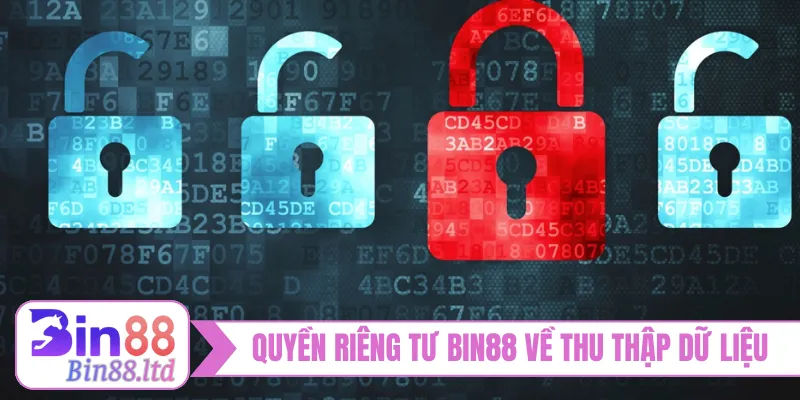 Quyền riêng tư BIN88 về chính sách thu thập dữ liệu