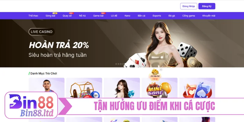 Tận hưởng ưu điểm khi cá cược