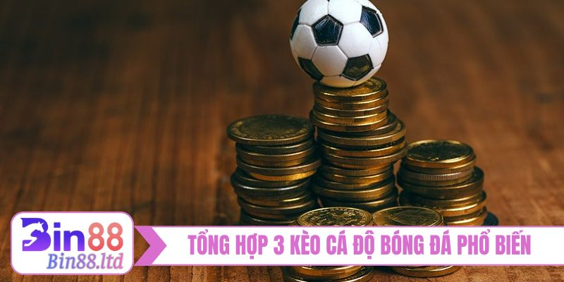 Tổng hợp 3 kèo cá độ bóng đá phổ biến