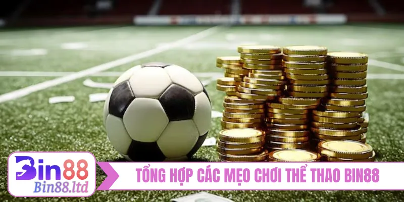 Tổng hợp các mẹo chơi thể thao BIN88 xanh chín
