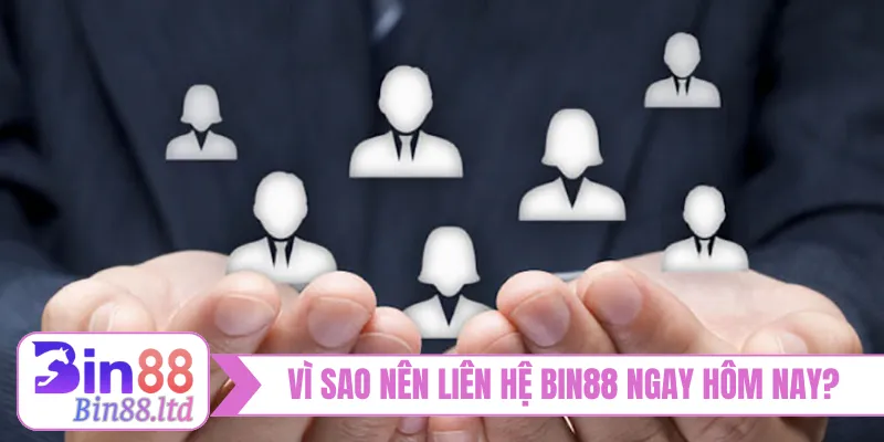 Vì sao nên liên hệ BIN88 ngay hôm nay?